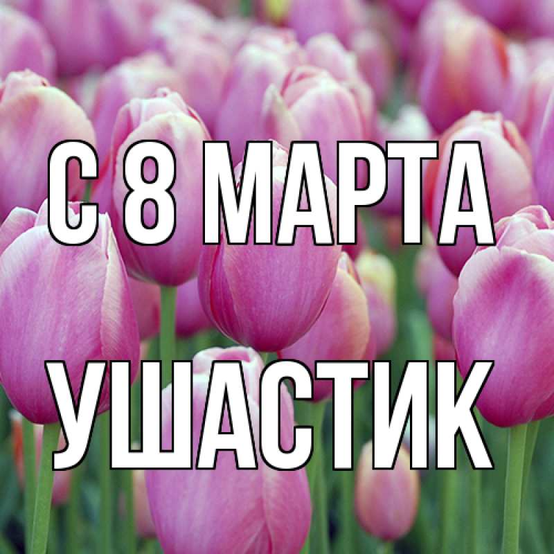 Картинка C 8 МАРТА, Ушастик