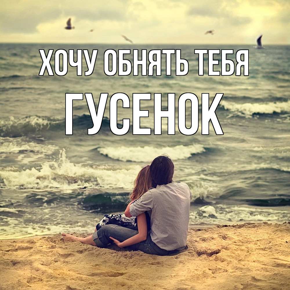 Открытка на каждый день с именем, гусенок Хочу обнять тебя возлюбленные на песочке Прикольная открытка с пожеланием онлайн скачать бесплатно 