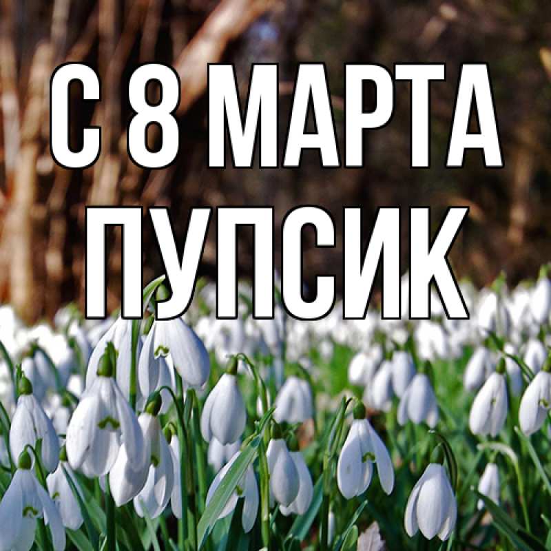 Картинка C 8 МАРТА, пупсик