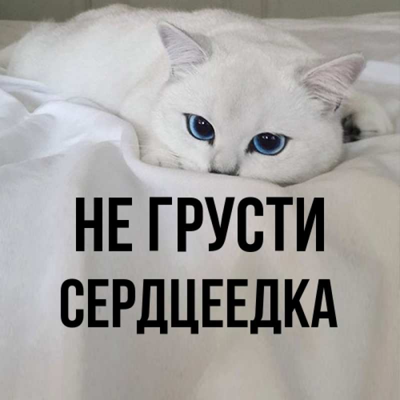 Картинка Не грусти, сердцеедка