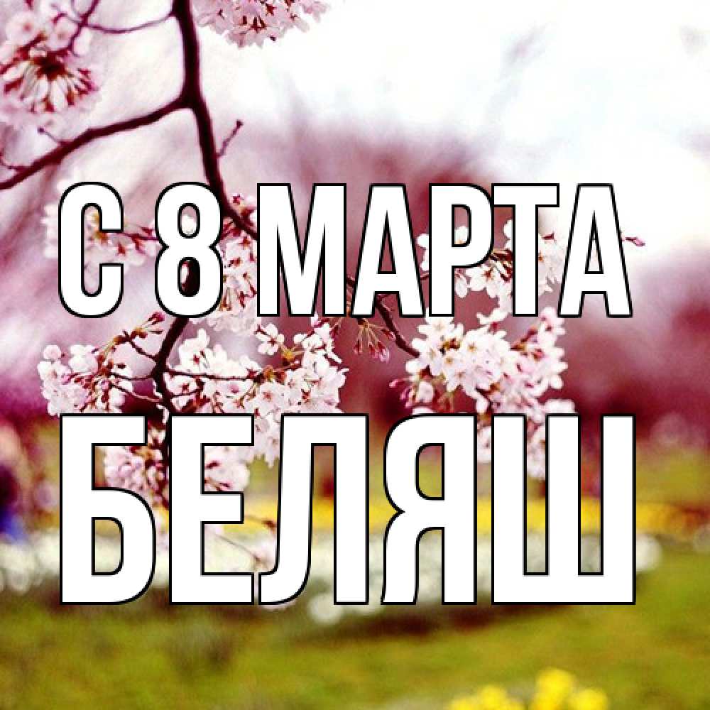 Открытка на каждый день с именем, Беляш C 8 МАРТА яблоня Прикольная открытка с пожеланием онлайн скачать бесплатно 