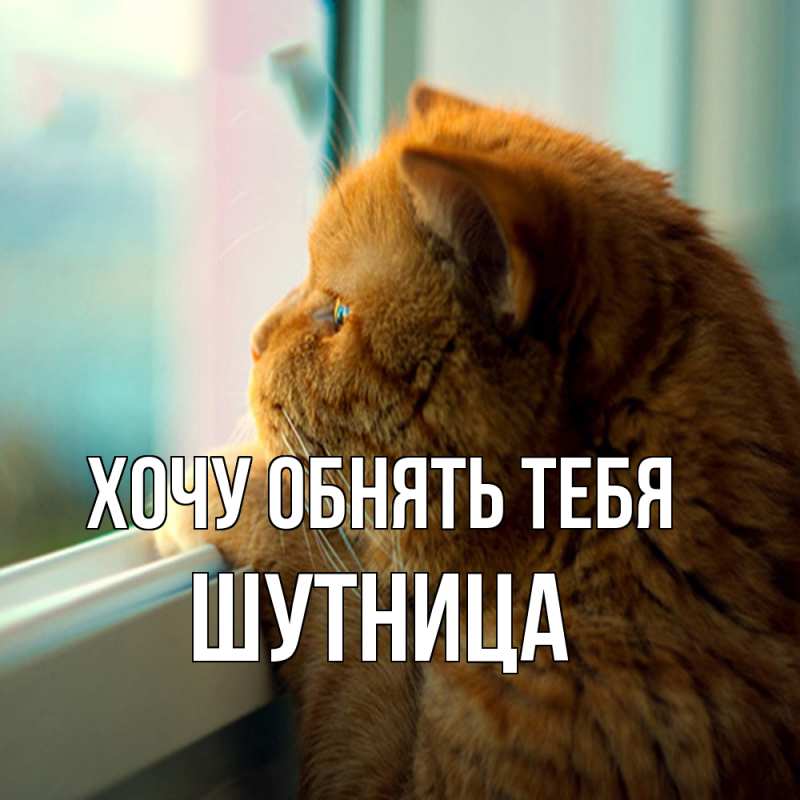 Картинка Хочу обнять тебя, Шутница