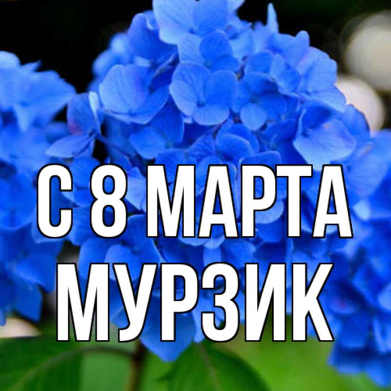 Картинка C 8 МАРТА, Муpзик