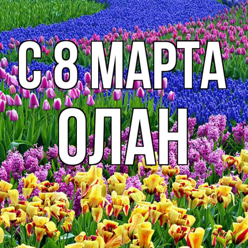 Картинка C 8 МАРТА, Олан