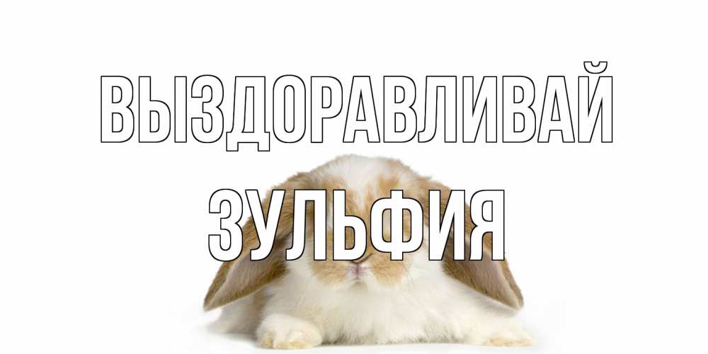 Открытка на каждый день с именем, Зульфия Выздоравливай вислоухий кролик белого и коричневого цвета Прикольная открытка с пожеланием онлайн скачать бесплатно 