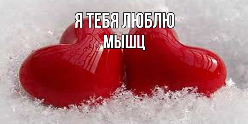 Картинка Я тебя люблю, Мышц