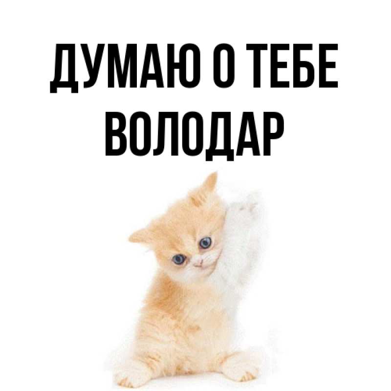 Картинка Думаю о тебе, Володар