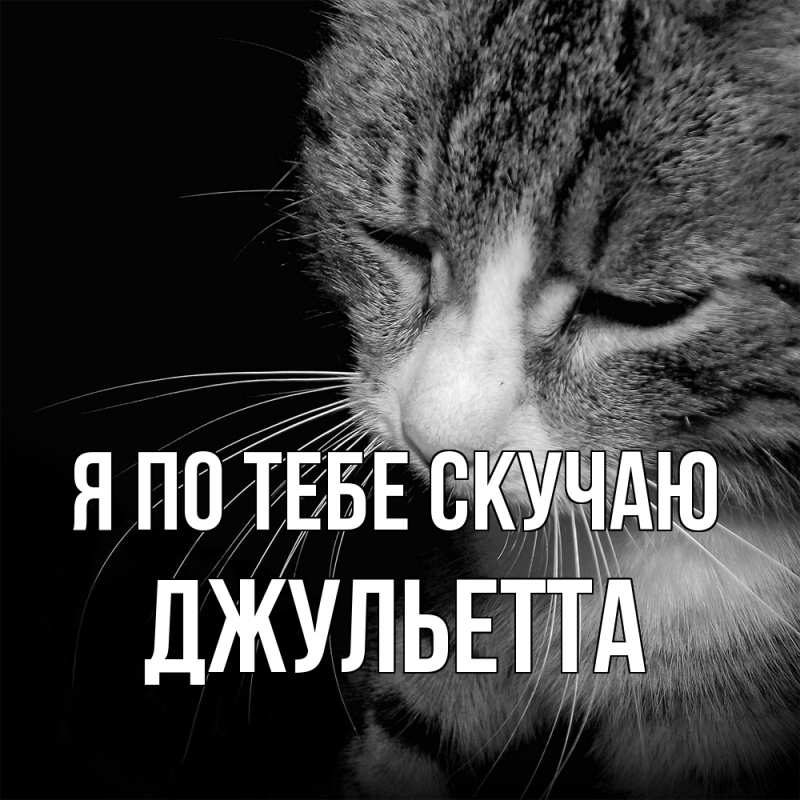 Картинка Я по тебе скучаю, Джульетта