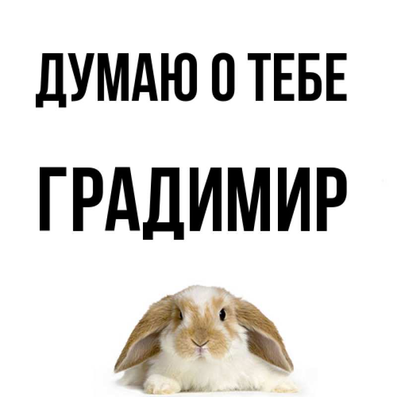 Картинка Думаю о тебе, Градимир
