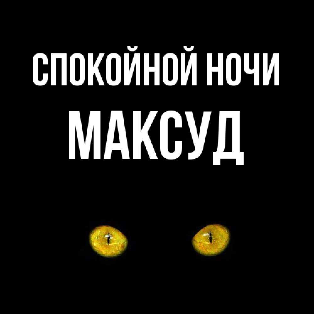 Открытка на каждый день с именем, Максуд Спокойной ночи сладких снов бесстрашный мой дружочек Прикольная открытка с пожеланием онлайн скачать бесплатно 