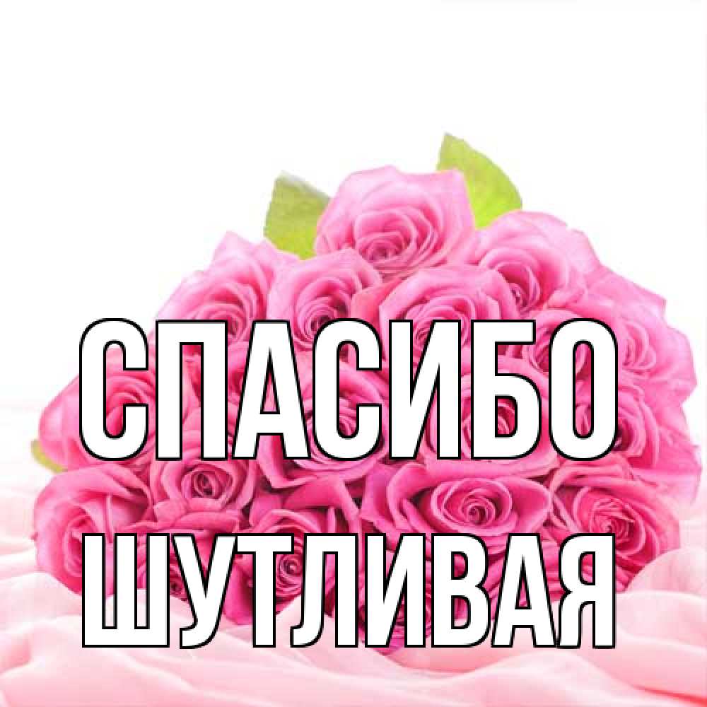 Открытка на каждый день с именем, Шутливая Спасибо розовые розы с подписью Прикольная открытка с пожеланием онлайн скачать бесплатно 