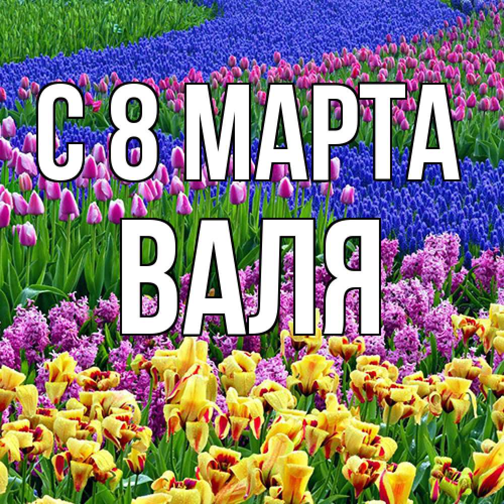 Открытка на каждый день с именем, Валя C 8 МАРТА цветы Прикольная открытка с пожеланием онлайн скачать бесплатно 