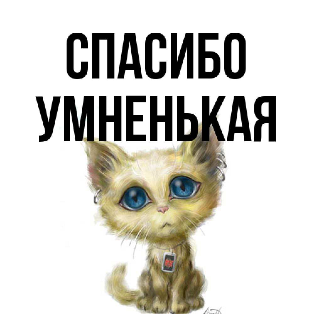 Открытка на каждый день с именем, Умненькая Спасибо рисованный кот благодарит вас Прикольная открытка с пожеланием онлайн скачать бесплатно 
