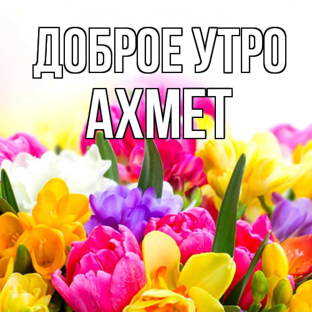 Открытка на каждый день с именем, Ахмет Доброе утро создать открытку со свое подписью Прикольная открытка с пожеланием онлайн скачать бесплатно 