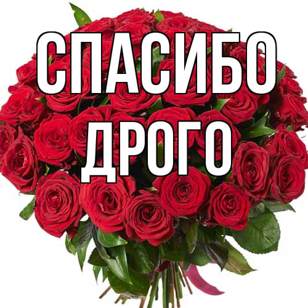 Открытка на каждый день с именем, Дрого Спасибо букет красных роз Прикольная открытка с пожеланием онлайн скачать бесплатно 