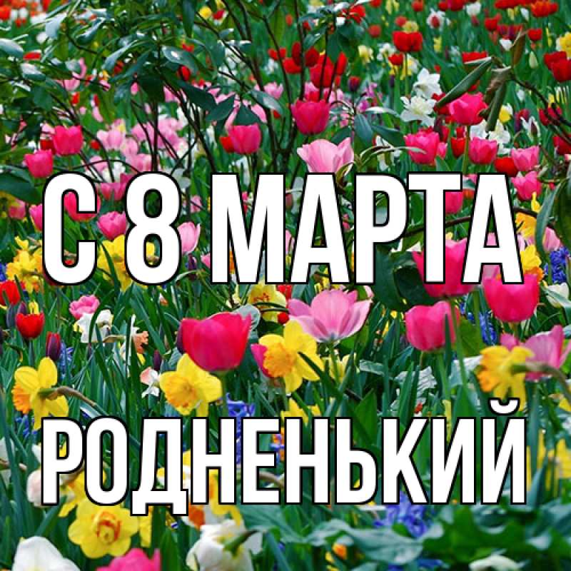 Картинка C 8 МАРТА, Родненький