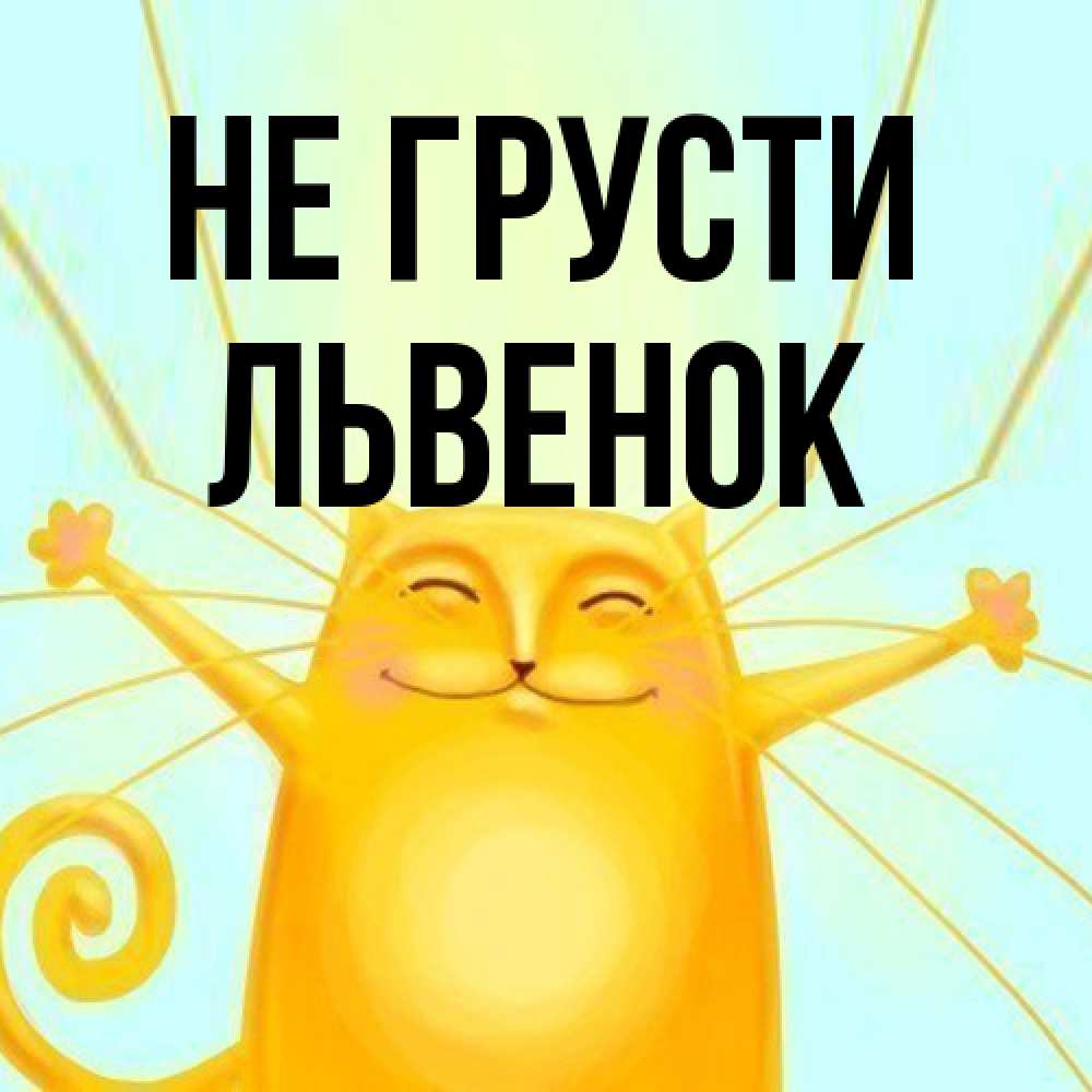 Открытка на каждый день с именем, Львенок Не грусти обнимашки усатые Прикольная открытка с пожеланием онлайн скачать бесплатно 