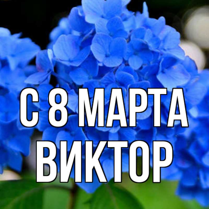 Картинка C 8 МАРТА, Виктор