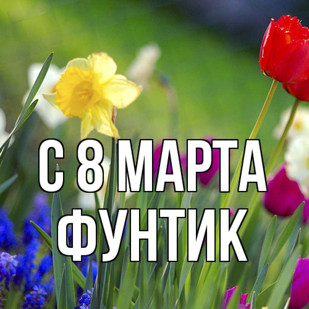 Открытка на каждый день с именем, фунтик C 8 МАРТА международный женский день 3 Прикольная открытка с пожеланием онлайн скачать бесплатно 