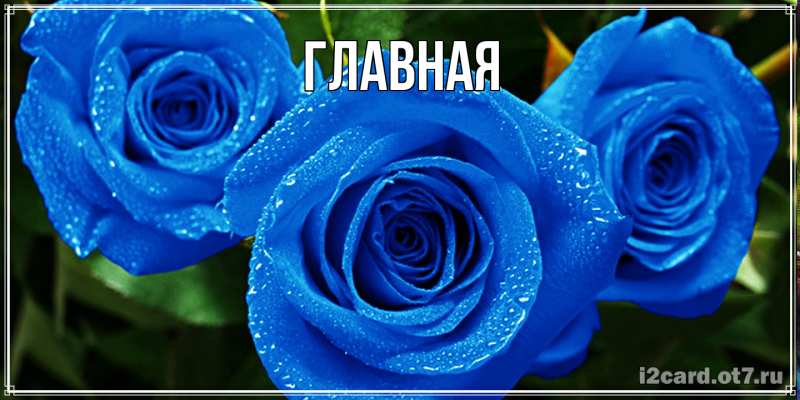 Картинка  с именем , настя