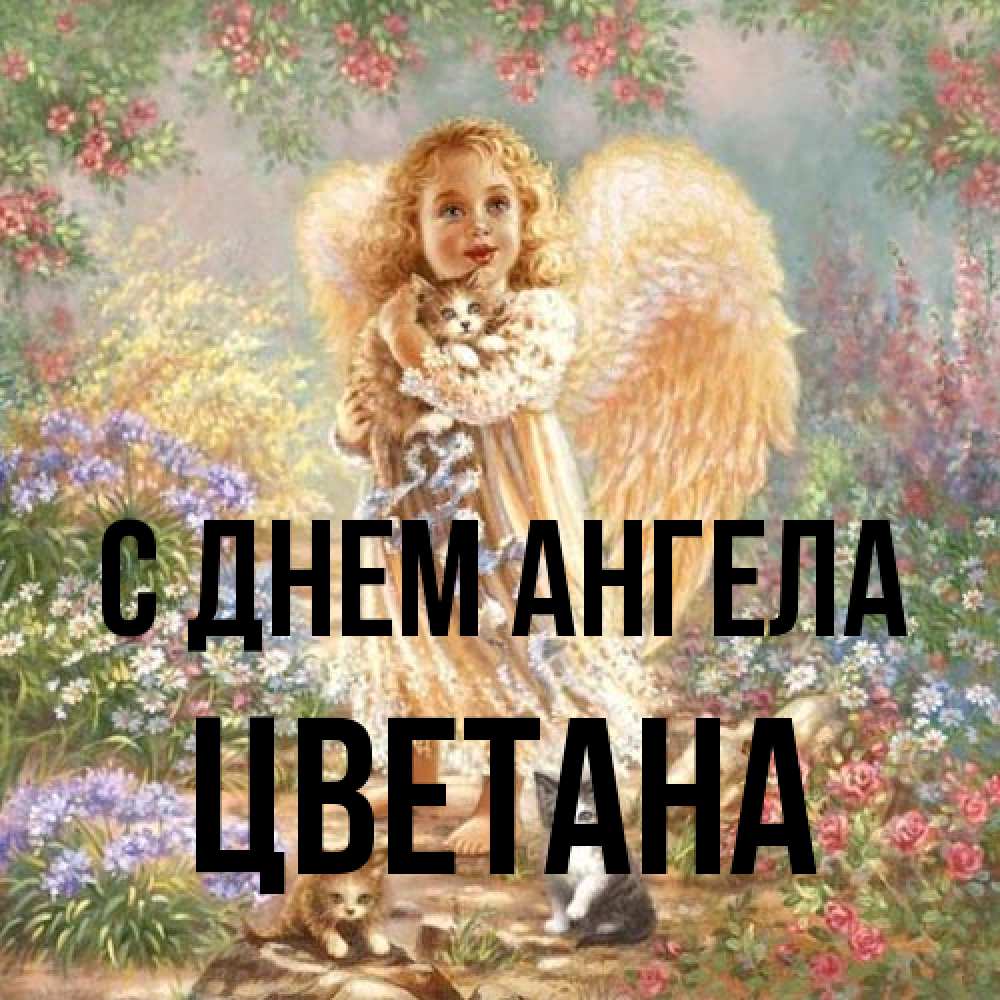 Открытка на каждый день с именем, Цветана С днем ангела держит котенка Прикольная открытка с пожеланием онлайн скачать бесплатно 
