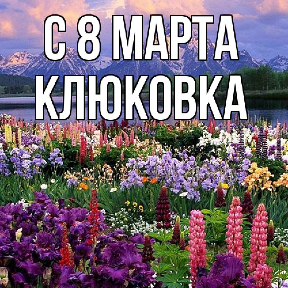 Открытка на каждый день с именем, клюковка C 8 МАРТА международный женский день Прикольная открытка с пожеланием онлайн скачать бесплатно 
