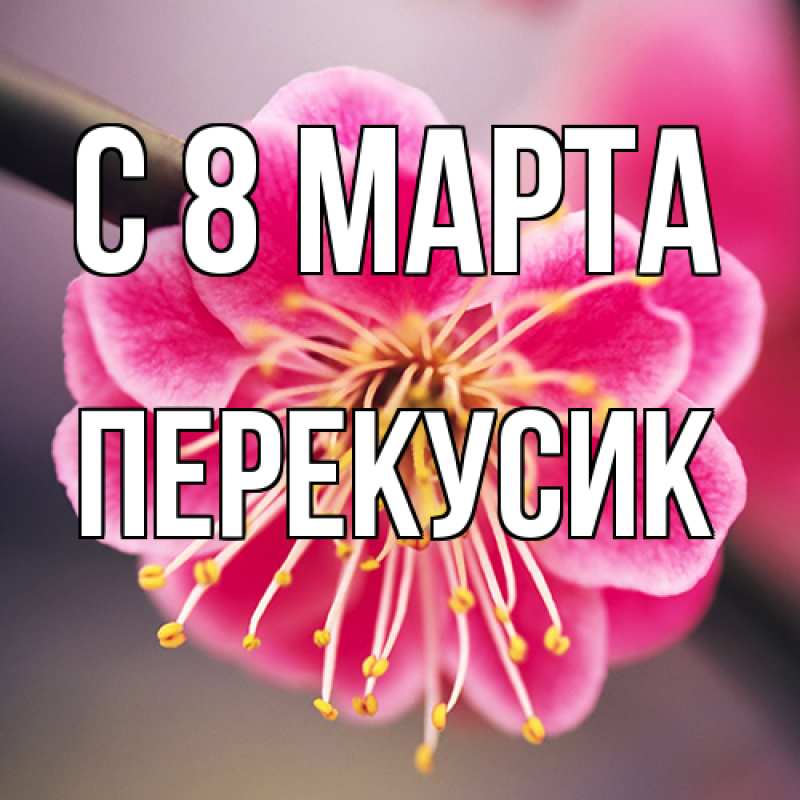 Открытка с именем, Перекусик, C 8 МАРТА