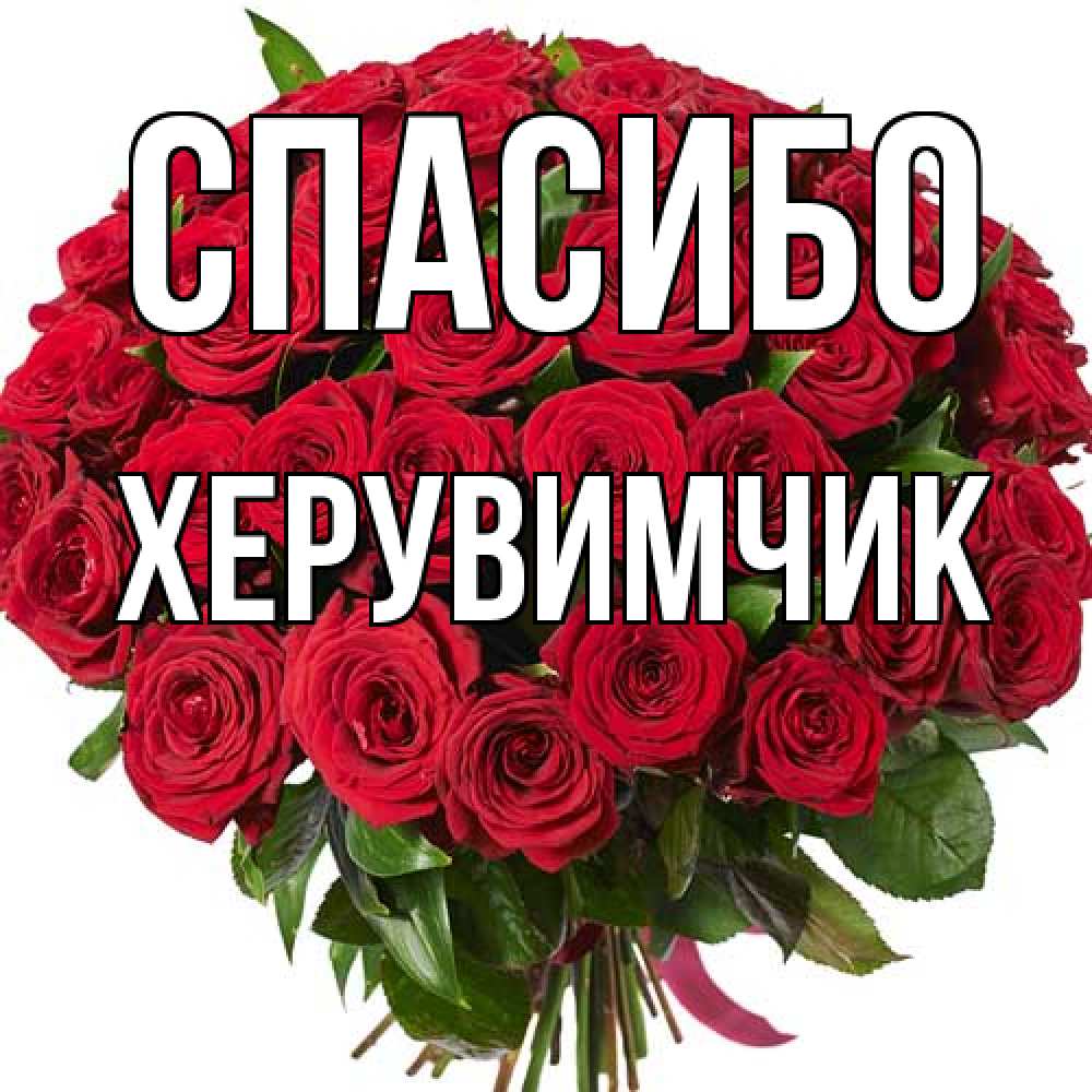 Открытка на каждый день с именем, Хеpувимчик Спасибо букет красных роз Прикольная открытка с пожеланием онлайн скачать бесплатно 