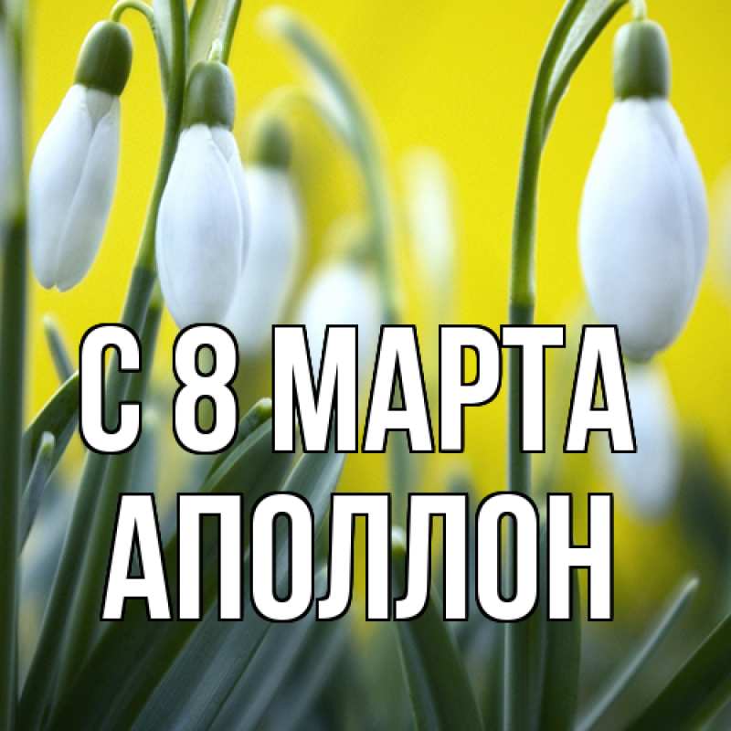 Картинка C 8 МАРТА, Аполлон