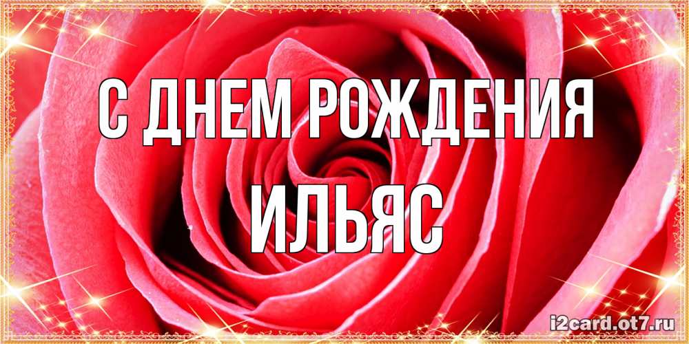 Открытка на каждый день с именем, Ильяс С днем рождения розовая роза очень крупный бутон Прикольная открытка с пожеланием онлайн скачать бесплатно 