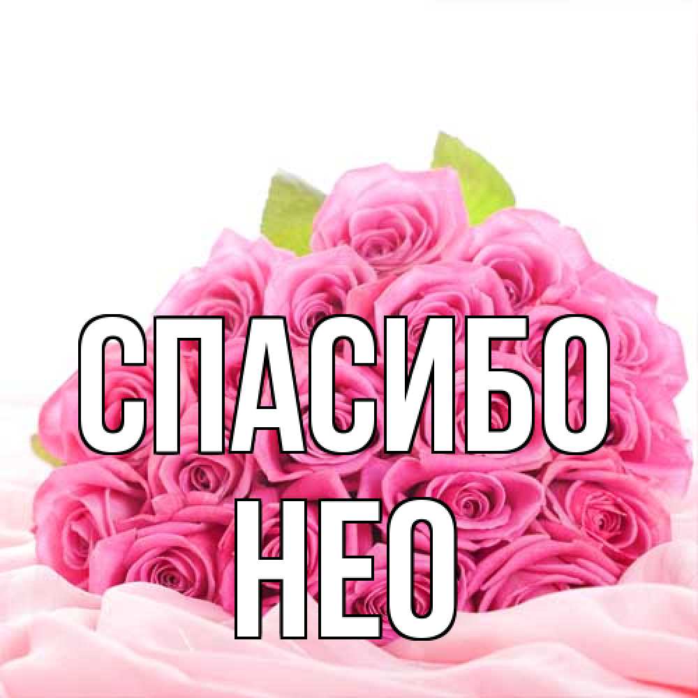 Открытка на каждый день с именем, Нео Спасибо розовые розы с подписью Прикольная открытка с пожеланием онлайн скачать бесплатно 