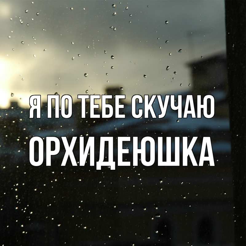 Картинка Я по тебе скучаю, Орхидеюшка