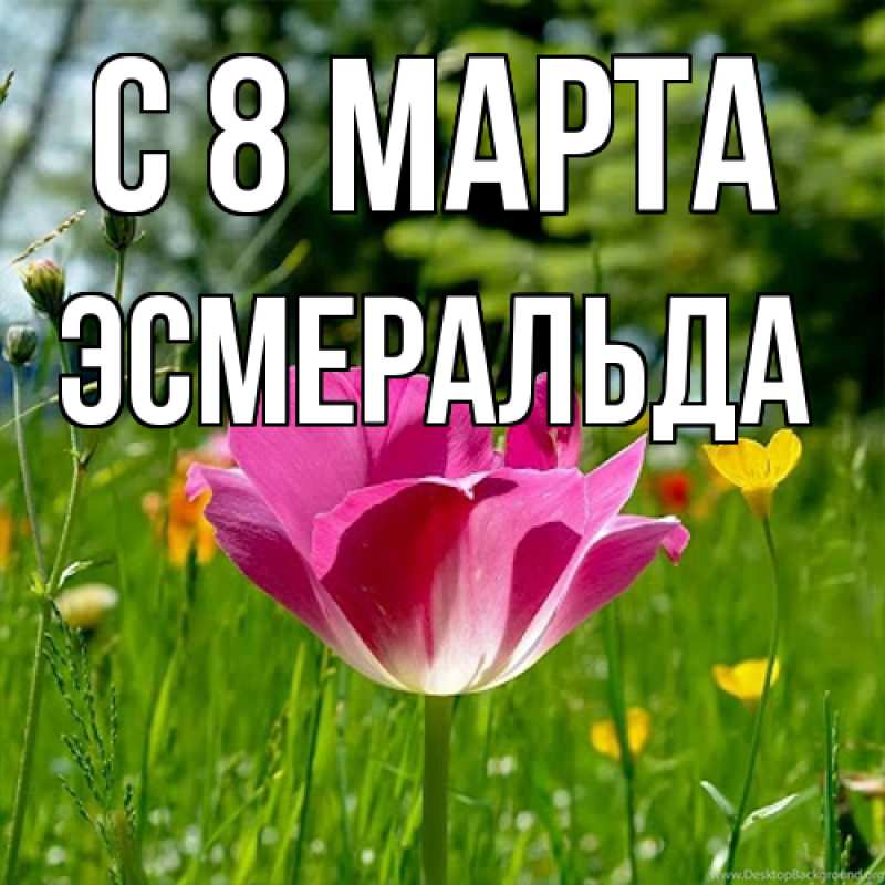 Картинка C 8 МАРТА, Эсмеральда