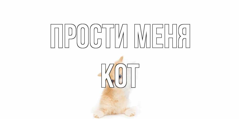 Открытка на каждый день с именем, Кот Прости меня кот Прикольная открытка с пожеланием онлайн скачать бесплатно 