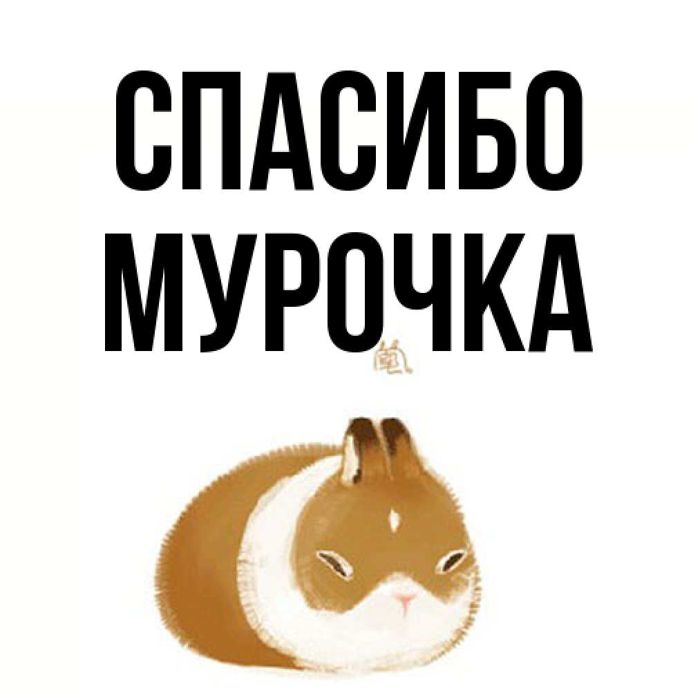 Открытка на каждый день с именем, Мурочка Спасибо коричнево белый домашний питомец Прикольная открытка с пожеланием онлайн скачать бесплатно 