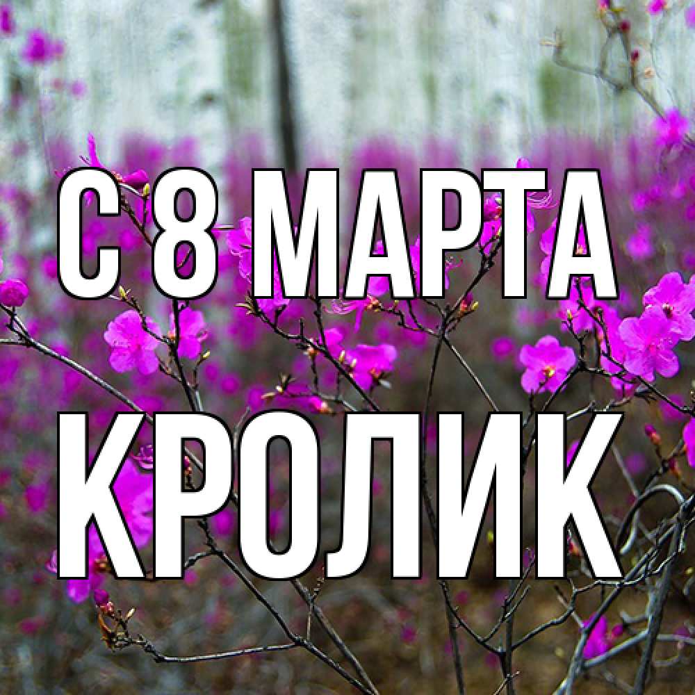 Открытка на каждый день с именем, кролик C 8 МАРТА дикие цветы Прикольная открытка с пожеланием онлайн скачать бесплатно 