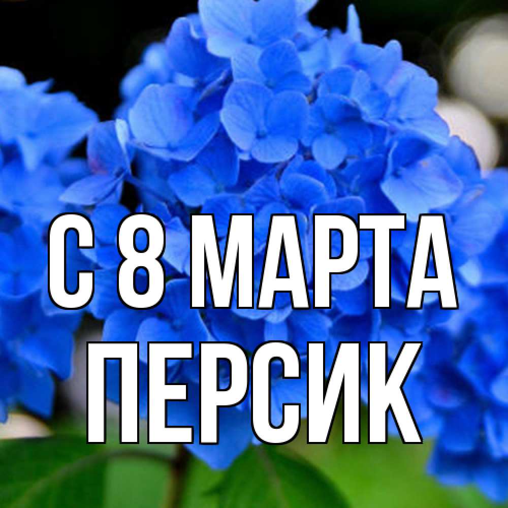 Открытка на каждый день с именем, Персик C 8 МАРТА синие цветы Прикольная открытка с пожеланием онлайн скачать бесплатно 