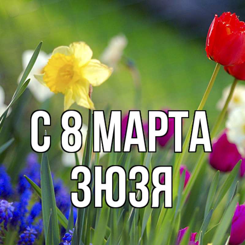 Картинка C 8 МАРТА, Зюзя