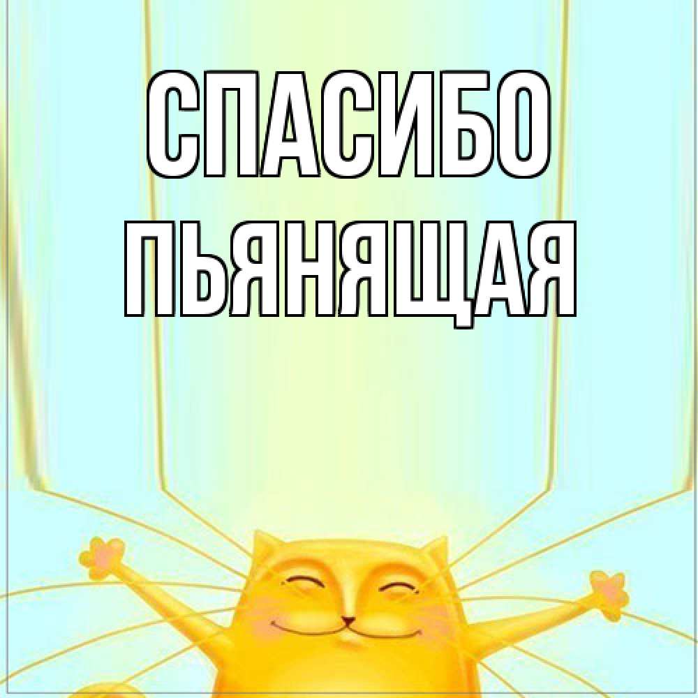 Открытка на каждый день с именем, Пьянящая Спасибо кот с усами благодарит Прикольная открытка с пожеланием онлайн скачать бесплатно 