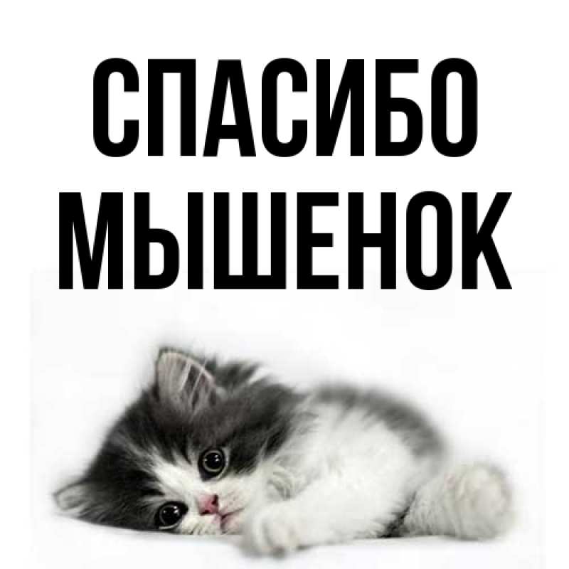 Открытка с именем, Мышенок, Спасибо