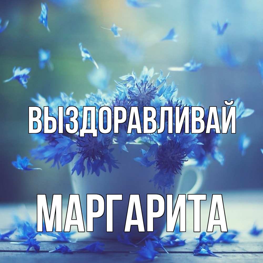 Открытка на каждый день с именем, Маргарита Выздоравливай кружка с зельем и цветами Прикольная открытка с пожеланием онлайн скачать бесплатно 