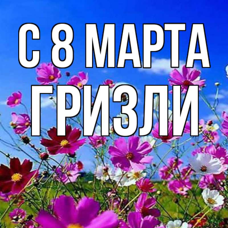 Картинка C 8 МАРТА, Гризли