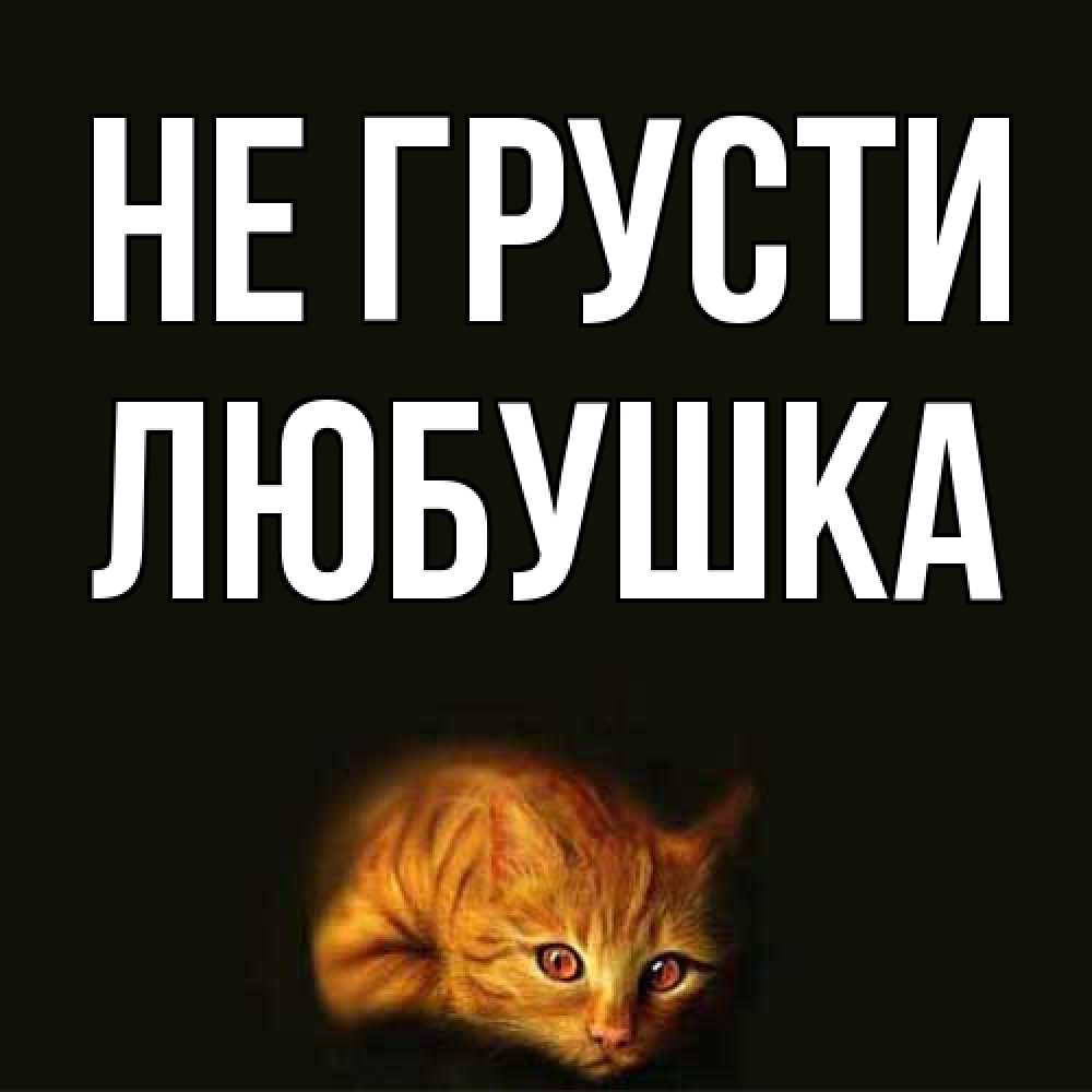 Открытка на каждый день с именем, Любушка Не грусти лежащий кот в темноте Прикольная открытка с пожеланием онлайн скачать бесплатно 