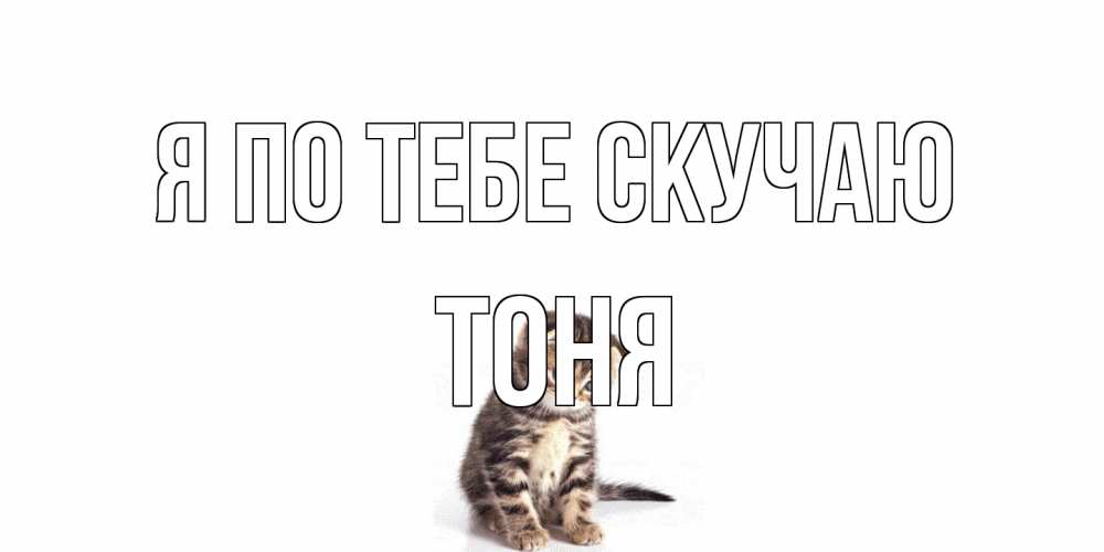Открытка на каждый день с именем, Тоня Я по тебе скучаю кот Прикольная открытка с пожеланием онлайн скачать бесплатно 