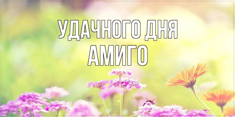 Картинка Удачного дня, Амиго