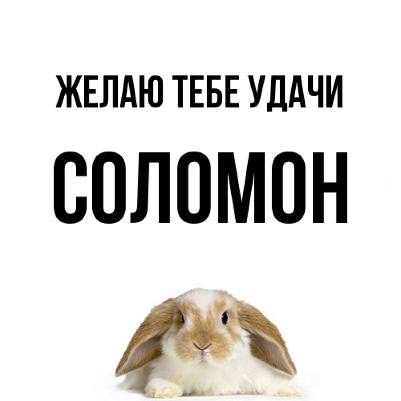 Картинка Желаю тебе удачи, Соломон