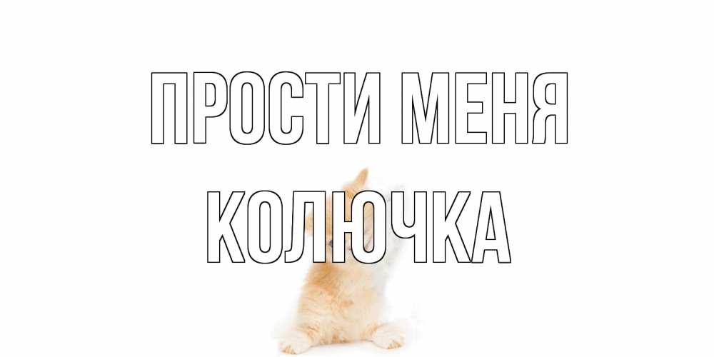 Открытка на каждый день с именем, Колючка Прости меня кот Прикольная открытка с пожеланием онлайн скачать бесплатно 