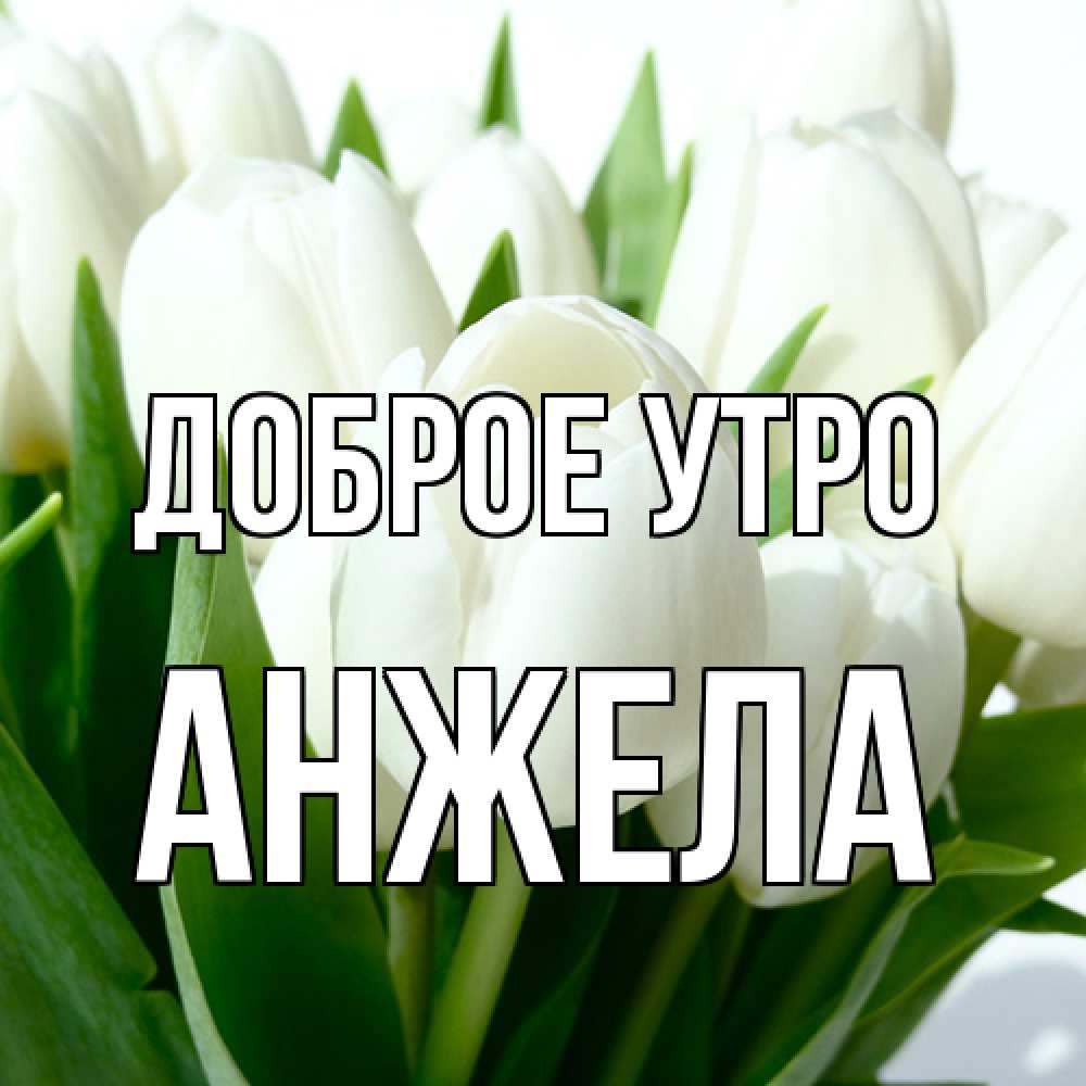 Открытка на каждый день с именем, Анжела Доброе утро открытки на каждый день по именам Прикольная открытка с пожеланием онлайн скачать бесплатно 