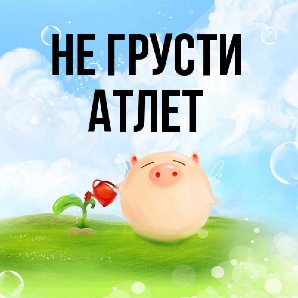 Открытка на каждый день с именем, Атлет Не грусти поливает цветок порося Прикольная открытка с пожеланием онлайн скачать бесплатно 