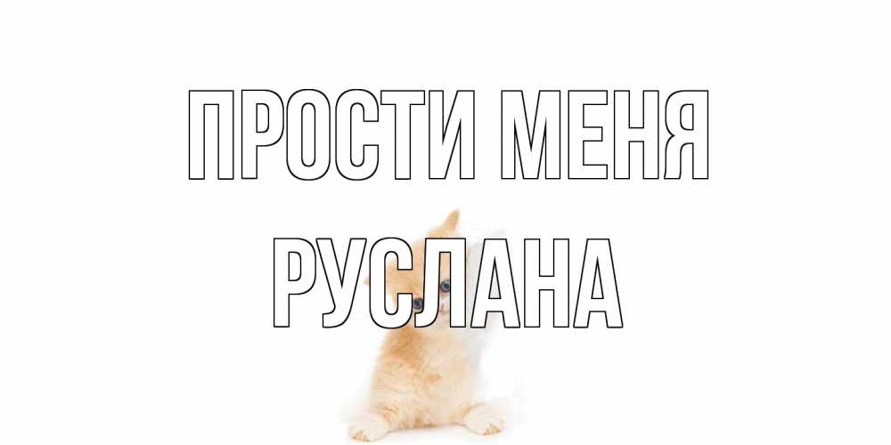 Открытка на каждый день с именем, Руслана Прости меня кот Прикольная открытка с пожеланием онлайн скачать бесплатно 